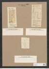 Navicula aegyptiaca Grev. (de-Toni-Nr.: Genus 1, Species 645) Zeichnungen Sammlung Grunow Nr. 1237 (NHMW-BOT-W0367866)